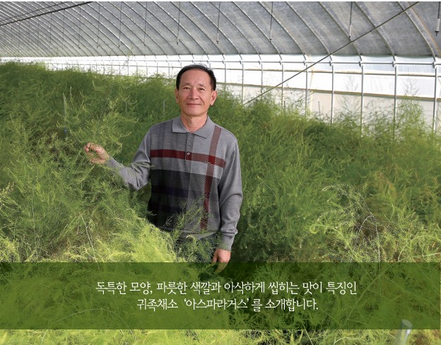 아스파라거스를 소개합니다.