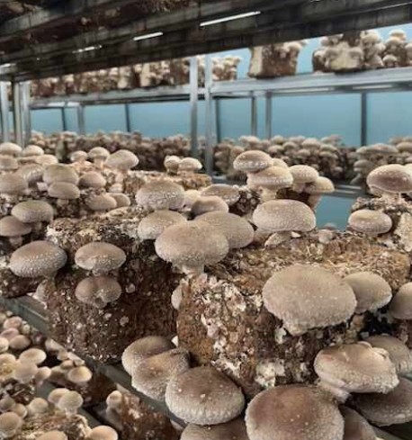 농업도 사업, 빠른 정보력과 결단