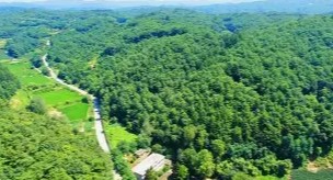 자연과 함께하는 삶~~~~